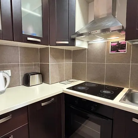 公寓 Mikael Sea View *